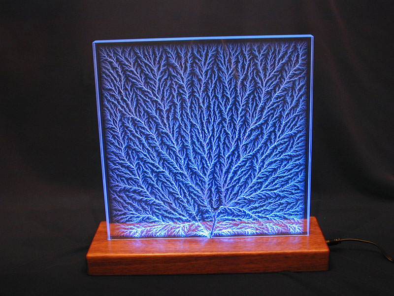 12" Specimen in DK12x100MC Lighted Base