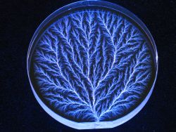 4 Inch Disk, Edge Dendritic