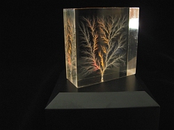 Edge dendritic, room and base light