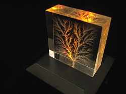 Edge Dendritic, room and BD752MC light