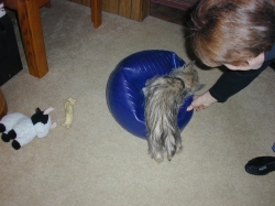 Raffie and Deflated Ball